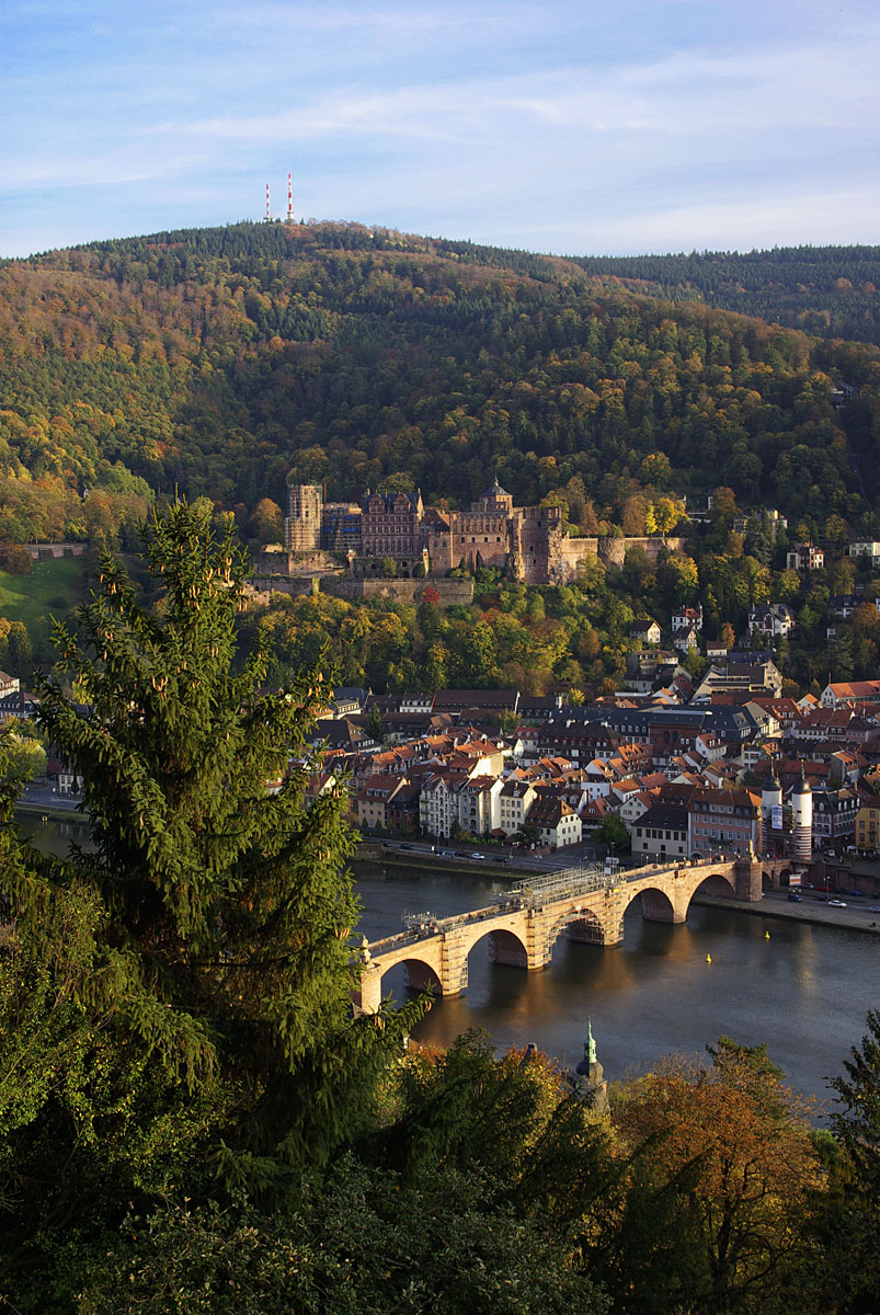 Germany Heidelberg (View From Philosophenweg)