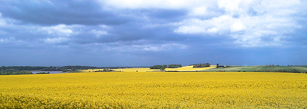 Germany Lusatia North Saxony