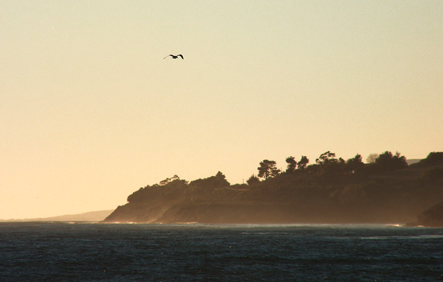 USA California HWY 1 Close To San Simeon