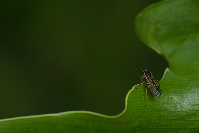 023 View In The Big Wide World